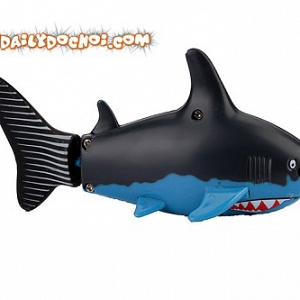  T11 – Tàu thủy cá mập siêu dễ thương 