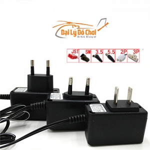 S19 củ sạc cho pin 12V chân ...
