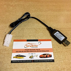DS21 cáp sạc pin ô tô 9.6V ...